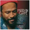 MUSIC ON VINYL Marvin Gaye - Collected - Martin Gaye (Gatefold Sleeve) (2 LP)