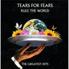 MERCURY Tears For Fears - Rule The World: The Greatest Hits (2 LP)