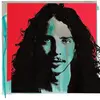 Polydor Chris Cornell Double Vinyle Gatefold