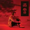 Import03 Divinely Uninspired To A Hellish Extent Lewis Capaldi (Interprète) Vinyle album