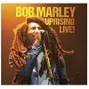 Bob Marley - Uprising Live! (180g) (3 LP)