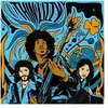 Thin Lizzy - The Acoustic Sessions (Clear Coloured) (LP)