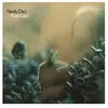Universal Music Katy Lied Steely Dan (Interprète) Vinyle album