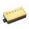 Fishman Micro Guitare Électrique Double Fishman Fluence Classic Humbucker Doré Manche