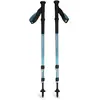 Bâton de trekking Black Diamond Trail Back (x2)