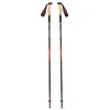 Black Diamond Bâtons Pursuit Carbon Z
