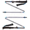 Black Diamond Distance FLZ Poles