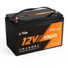 12V 100Ah Batterie LiFePO4 Auto-Chauffage Batterie au Lithium, Charge ...