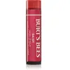 Burt's Bees, Lip Balm Tinted Daisy, 0.15 Ounce
