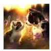 Chat et Chien 500 Pièces  SunsOut