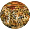 Pièces XXL - Lori Schory - Tigres partout 500 Pièces  SunsOut