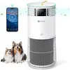 REDKEY Purificateur d'Air pour Maisons avec Animaux-Amicura P2-Filtre ...
