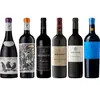 Caisse de dégustation de vins rouges Sud-Africains Premium 4.5 l