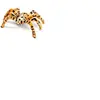 Peluche araignée Jaune/Noir 50cm Décoration d'Halloween