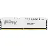Module de mémoire Technology FURY Beast 16 Go 1 x 16 Go DDR5 5600 MHz