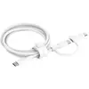 Câble Belkin USB-C vers USB-C / Lightning 60 W USB 2.0 - 1,5 m - Blanc