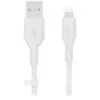 Belkin Câble Caa008bt3mwh 3 M