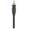 Câble RCA BELKIN coaxiale RCA M/M 1M Noir F3Y096bf1M