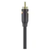 Câble RCA BELKIN coaxiale M/M 2m Noir/Or    F3Y096bf