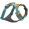 Ruffwear - Front Range Harness - Harnais pour chien taille M, spring mountains