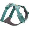 Ruffwear - Front Range Harness - Harnais pour chien taille S, vert