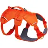 Ruffwear Harnais Pour Chien Web Master 