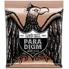 Ernie Ball Acoustic 2076 Paradigm Phosphore Bronze 12/54
