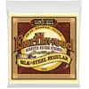 Ernie Ball Cordes 2043 Regular silk
