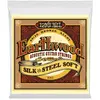 Ernie Ball 2045 Earthwood Silk Steel Soft 11-52 Jeux de cordes folk 011