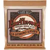 Ernie Ball Ernie Ball 2153 Earthwood Acoustic Phosphor Bronze 12-String
