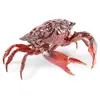 Objets de décoration : Lladró CRAB