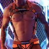 Harnais Body HYBRED Breedwell Orange L/XL