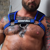 Harnais INTIMIDATOR Breedwell Noir-Bleu L/XL