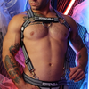 Breedwell Harnais Body Hybred Noir - Gris XXL/XXXL