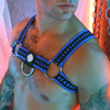 Harnais DADDY'S FAVORITE Bleu S/M