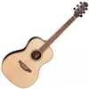 Takamine Guitares Acoustiques Gy93 Natural New Yorker Folk