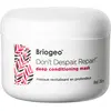 BRIOGEO Don't Despair, Repair! - Masque Revitalisant en Profondeur 