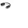 upcycle it C2G 20cm DisplayPort M / HDMI F 0,2 m Noir
