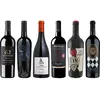 Caisse de dégustation premium Primitivo 4.5 l