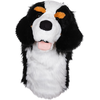 Daphne Driver Headcover Berner Sennehund