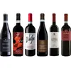Valpolicella Ripasso Caisse de dégustation Premium 4.5 l