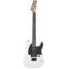 Fender Jim Root Telecaster Flat White