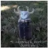 Disques vinyles populaires : Guttering