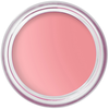 Bobbi Brown Pot Rouge Velvet Matte Blush 10 g