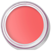 Bobbi Brown Pot Rouge Velvet Matte Blush 10 g