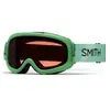 Smith Masque De Ski Gambler
