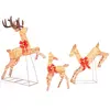 COSTWAY Décoration de Noël 255 Lumières avec 12 Piquets et 24 Serre-câbles