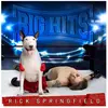 Sing Inc Big Hits Rick Springfield's Greatest Hits, Vol. 2