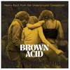 Various Brown Acid/The Twentieth Trip