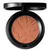 MAC Skinfinish Colourstruck Blush Blush 10 g